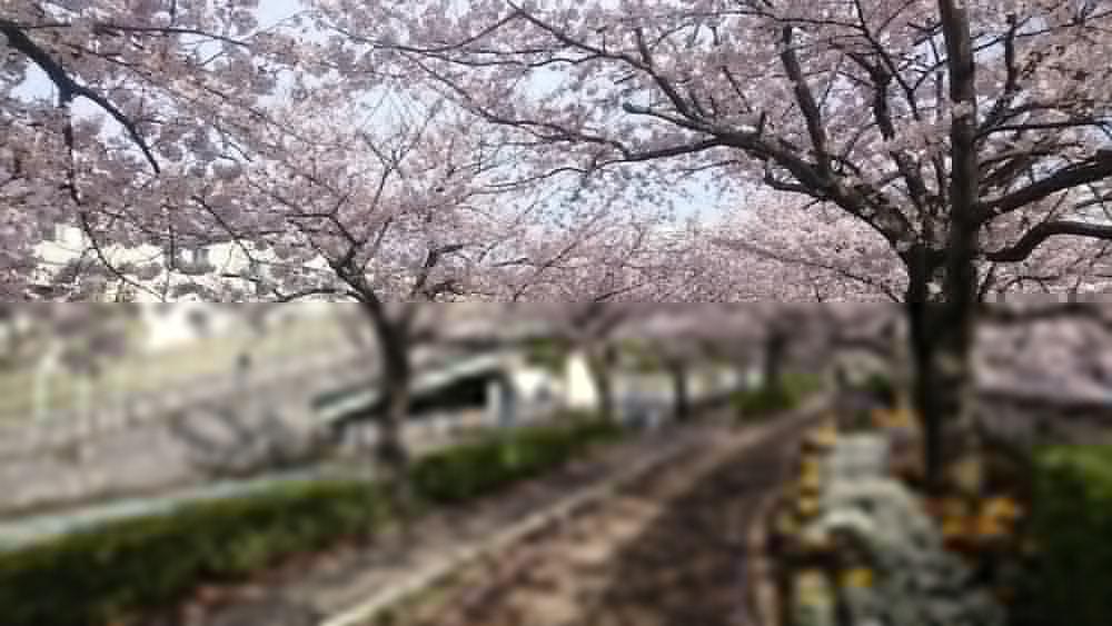 헨 나 호텔 마이하마 도쿄 베이 우라야쓰 외부 사진